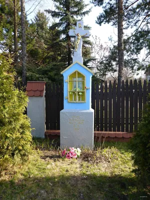 Wokół Balina