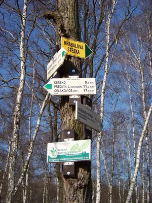 [Z] odbočka Krásná Pepina