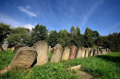 Strzyżów - Krosno