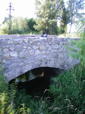 Naszály helyi hálózat