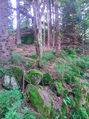 Hucisko - Łamana Skała