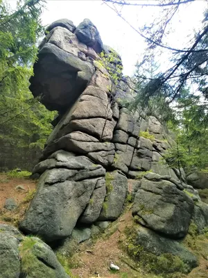 Pisarzowice - Leszczyniec