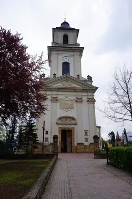 Między Zdrojami - szlak rowerowy czerwony