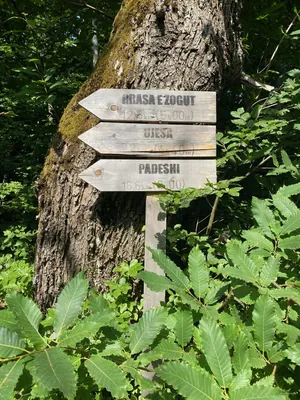 South to West Hiking Trail