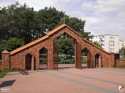 Kozienice - nordic walking zielony