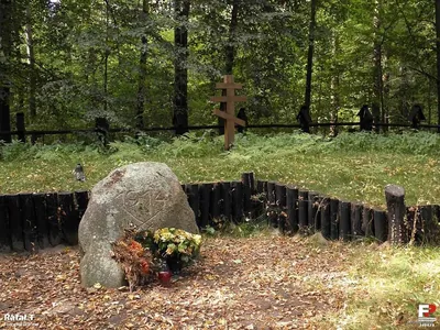 Dąbrowa nad Zagożdżonką