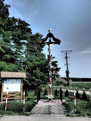 Odolanów - Kuroch
