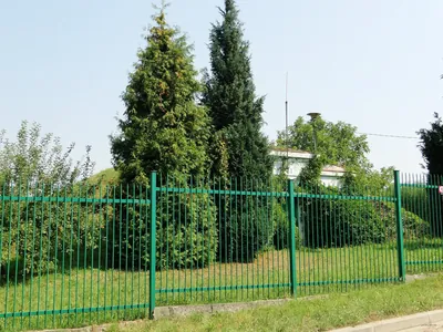 Szlak Centralny