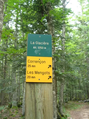 Le toboggan
