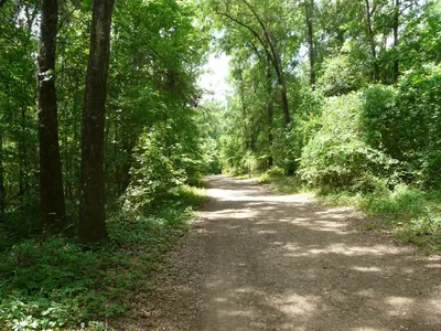 Greenways trails connector