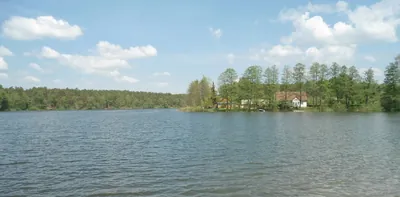 Grūtas-Musteika