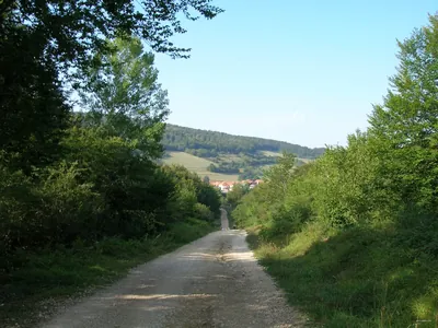 Berraguko bidea