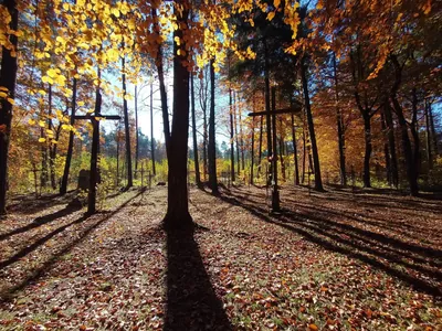 Krzeszowice - Dębnik