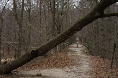 Ścieżka dydaktyczna "Królewskie Źródła"