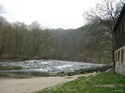 Klosterwaldquerung (grüner Punkt)