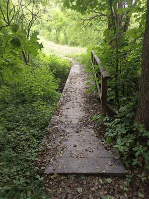 Hoštálkovicemi a Lhotkou