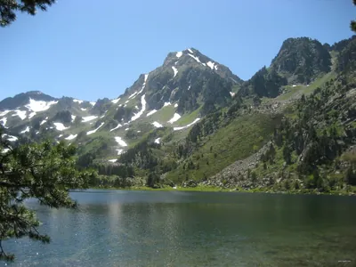 Étang du Laurenti
