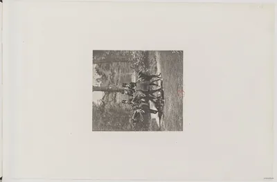 Le Tour du Bois