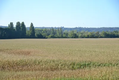Les Terres Noires