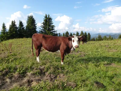Sentier flore et milieux naturels