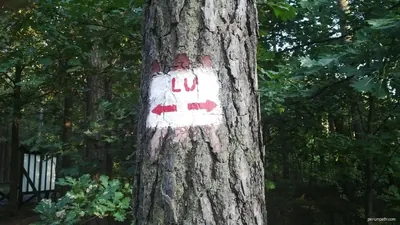 Leśno Uciecha