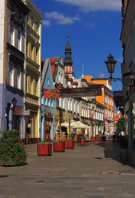 Trasa rowerowa - Wśród pól do Lipna