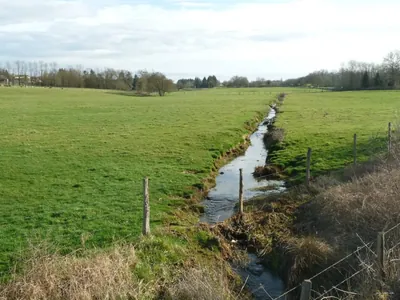 La Ligonne