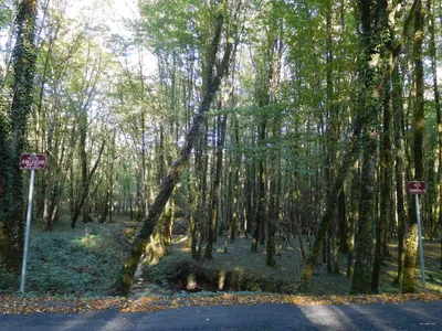 Boucle du Cluzeau