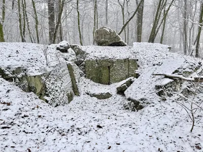 Szlak dookoła Wrocławia im. doktora Bronisława Turonia