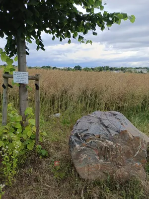 Farská cesta