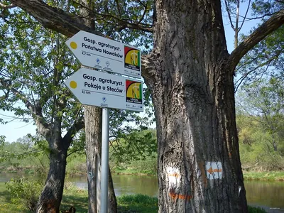 Łódzki Szlak Konny