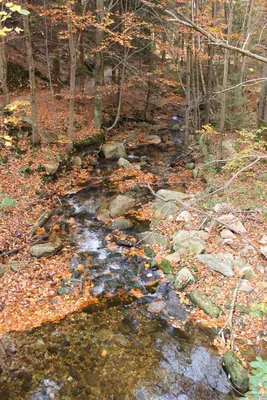 Asfaltový traverz