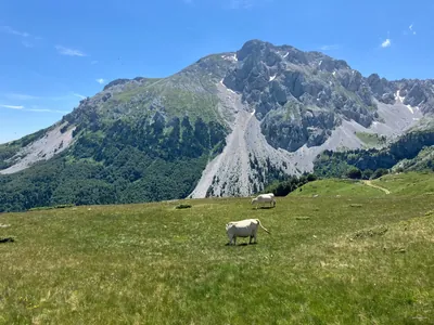 Ljuban - Ljevorečki Kom