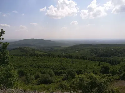 P● (Máriácska kerülő)