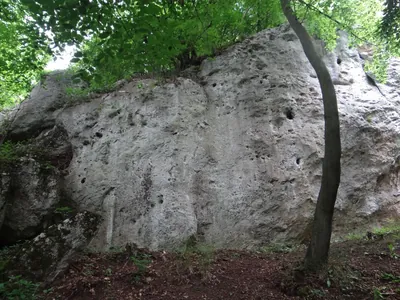 Dolina Dłubni