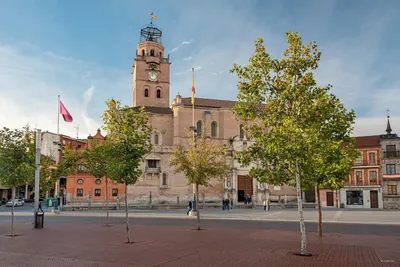 Etapa 25: Medina del Campo - Sieteiglesias de Trabancos