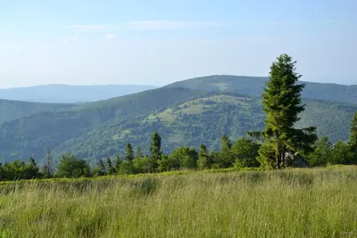 Przyborów - Mędralowa Zachodnia