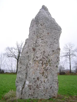 Le Bois de Pierre Blanche