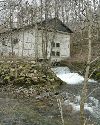 Le Bois du Vaulmier