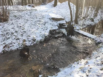 Via Czechia - Slezskem (4. Opavská pahorkatina)