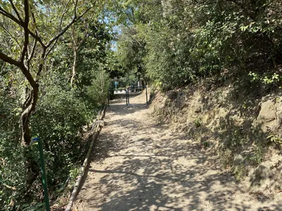 Family Trail