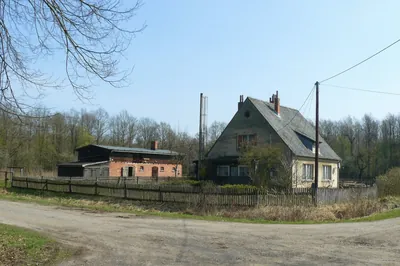 Krotoszyńskie Dąbrowy