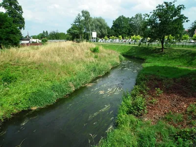 Szlak Żwakowski