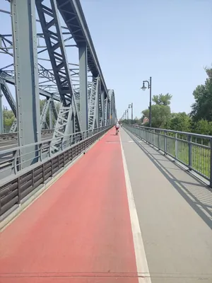 Wzdłuż Wisłu w okolicy Torunia