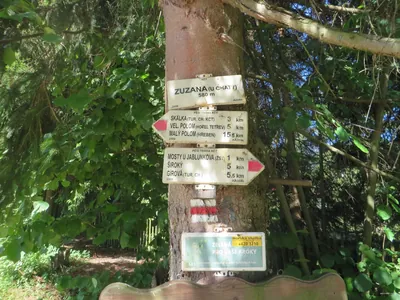 Singletrail Nad Borovím