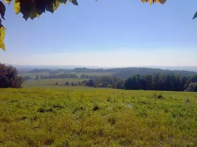 Trzebinia - Młoszowa