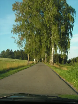 4173 Jesenný - Mříčná