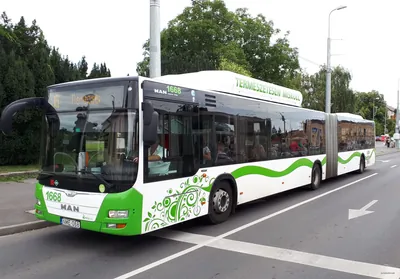 Szinva Útvonal