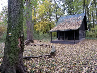 [Ž] Kostomlaty nad Labem - ústí Vlkavy