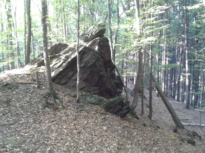 Náchodské stezky